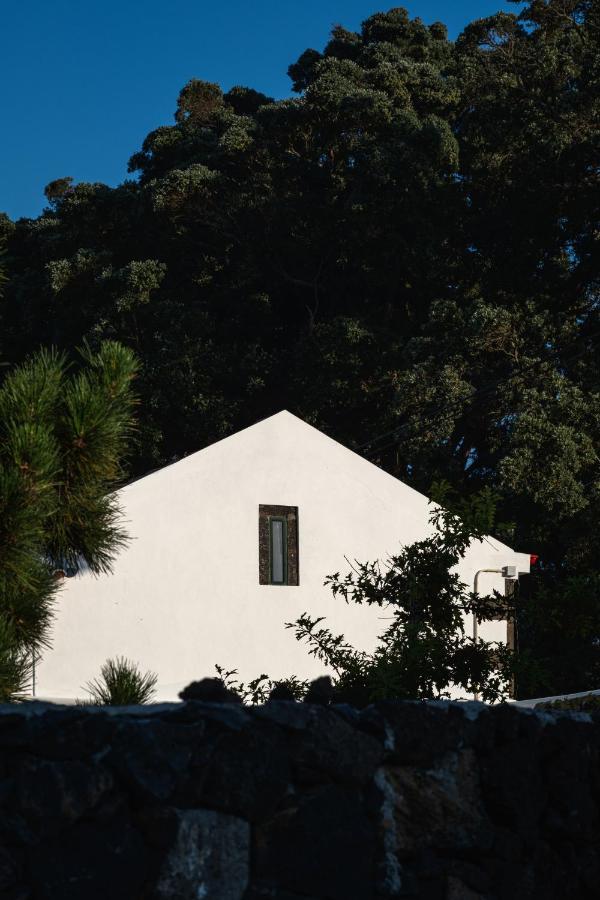 Entre Muros - Turismo Rural - Casa Com Jardim E Acesso Direto Ao Mar Ribeira Grande Exterior photo